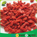 100% natural fresh goji berries factory supply goji berry